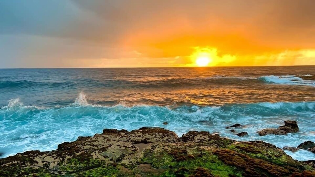 Imagen de perfil del propietario o de la propietaria