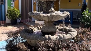 A multi-tiered stone fountain surrounded by a circular garden with various plants.
