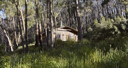 A bright spacious private timber cabin, on a beautiful 11acre off-grid property!