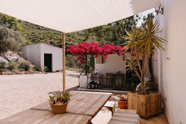 Un patio con mesa y bancos de madera, rodeado de plantas en macetas y un edificio blanco al fondo.