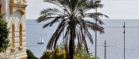 A palm tree in front of a building with a view of the sea and a sailboat.