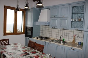 Fridge, oven, stovetop, cookware/dishes/utensils