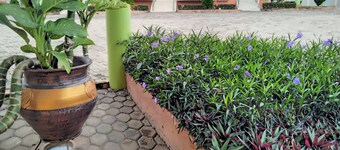 Renajoe Exclusive Guesthouse Tema Community 9