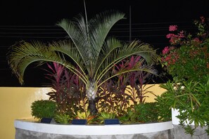 Terrace/patio - CALIZO VIP GUEST HOUSE  (Fajardo)