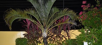 CALIZO VIP GUEST HOUSE 