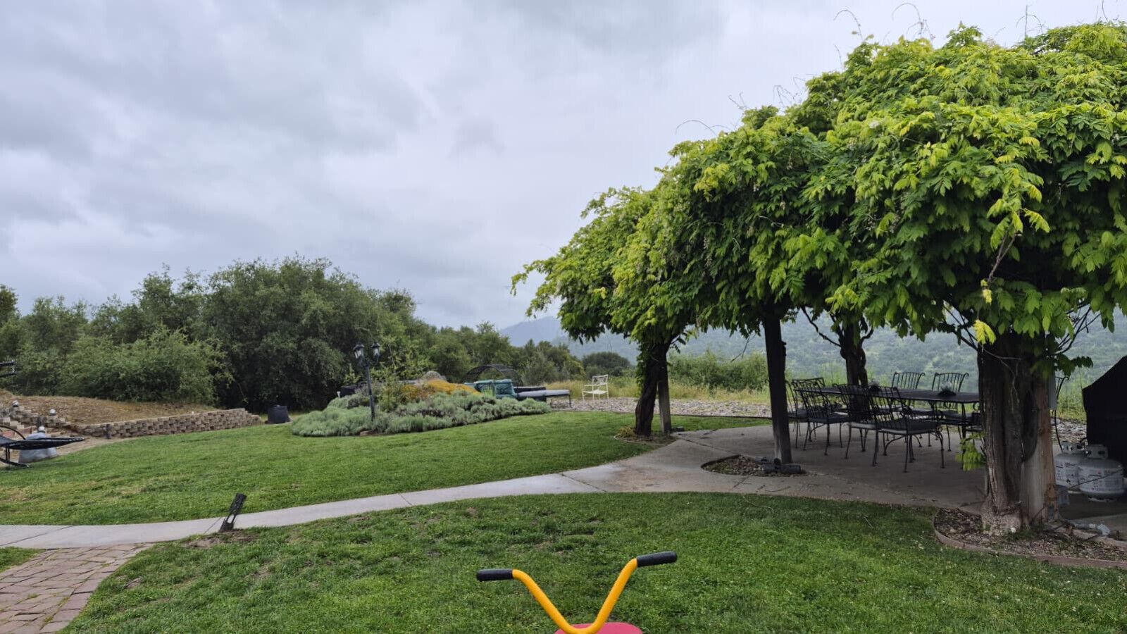 Un espacio al aire libre con césped, un sendero pavimentado, una mesa de picnic y un árbol.
