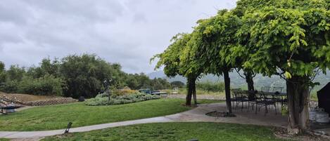 Un espacio al aire libre con césped, un sendero pavimentado, una mesa de picnic y un árbol.