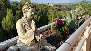 Una estatua de Buda en un balcón con vistas a árboles y casas.