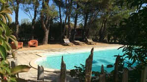 Una piscina rodeada de árboles, con sillas de descanso y un edificio pequeño al fondo.