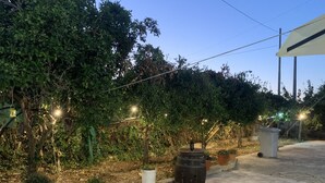 A paved outdoor area with potted plants and a large barrel. - Il Casello Country House  (Sciacca)