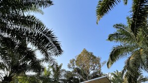 Un pequeño edificio de una sola planta con techo verde y un porche, rodeado de exuberante vegetación tropical.