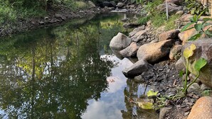 Un entorno tranquilo a orillas del río, con una construcción de techo de paja, abundante vegetación y un cuerpo de agua en calma.