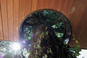 Diseño del edificio