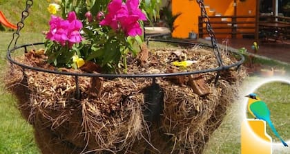 Cabaña en Ecogranja con Piscina Cerca a Peñol y Guatapé