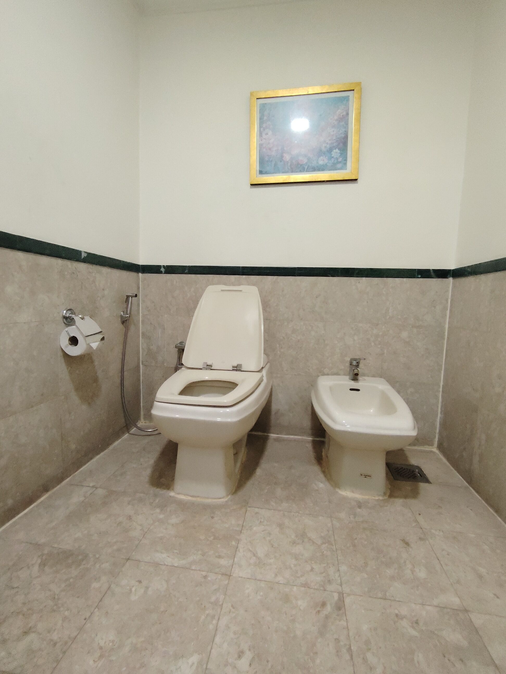 A bathroom with two toilets, a shower, and a toilet paper holder on the wall.