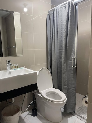 Shower, hair dryer, bidet, towels