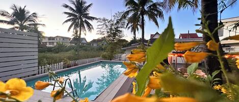 Piscine extérieure, chaises longues
