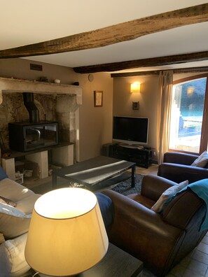 TV, fireplace, video games, DVD player