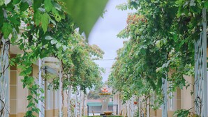 A covered outdoor seating area with a table and chairs, surrounded by greenery and a building in the background. - Hotel Sao Vàng (B'Lao)