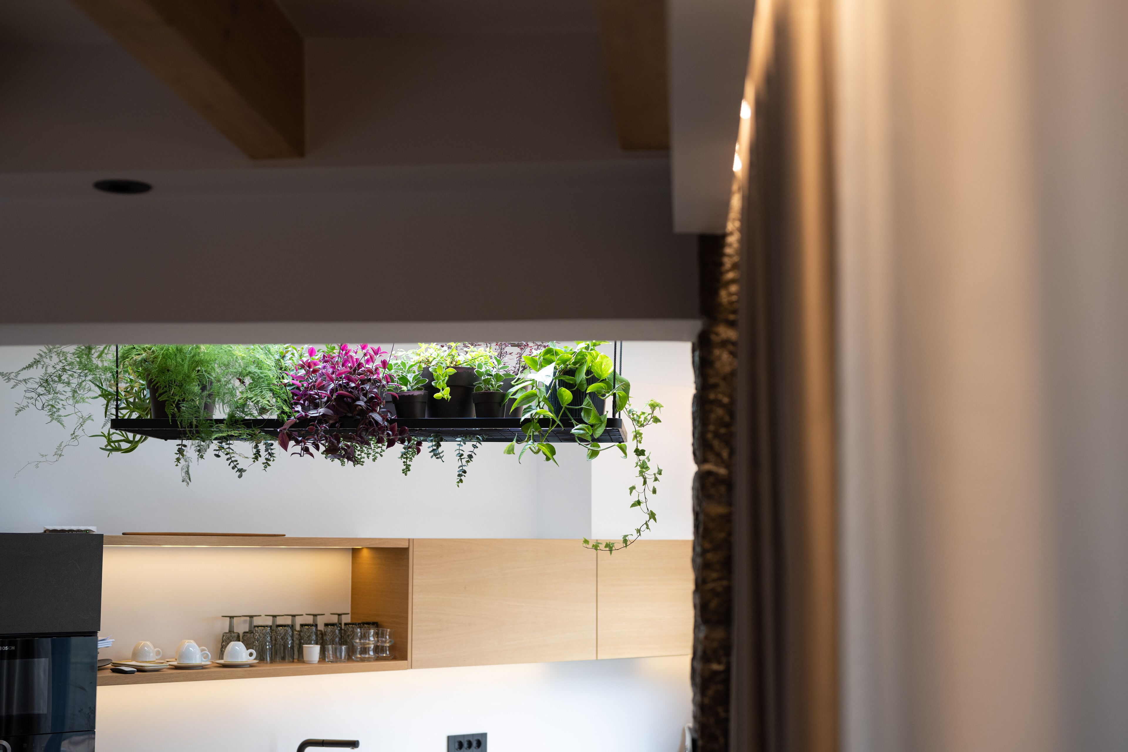 A modern kitchen with a wooden ceiling, a hanging plant shelf, and a countertop with kitchenware.