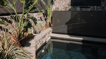 Junior Suite with Pool | 1 bedroom, desk, laptop workspace, soundproofing