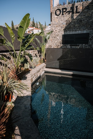 Junior Suite with Pool | 1 habitación, escritorio y espacio para trabajar con laptop