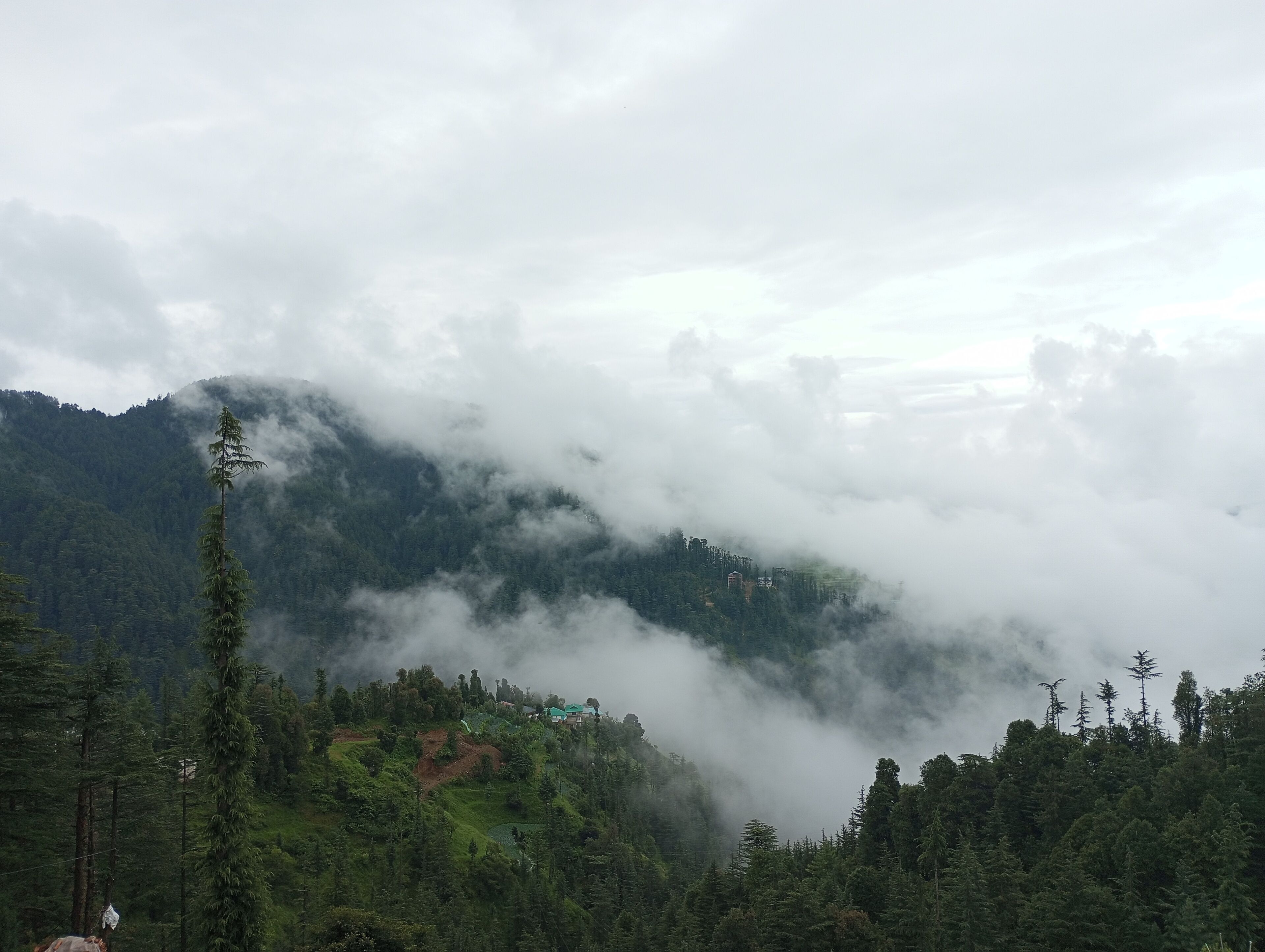 Un paysage montagneux avec une zone boisée et un bâtiment doté d’un toit végétalisé.