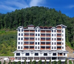 Front of property - The Jungle Mountain Retreat (Shimla)