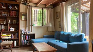 Télévision, cheminée, table de tennis de table