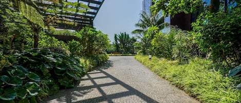 A paved pathway flanked by lush greenery and a modern building structure.