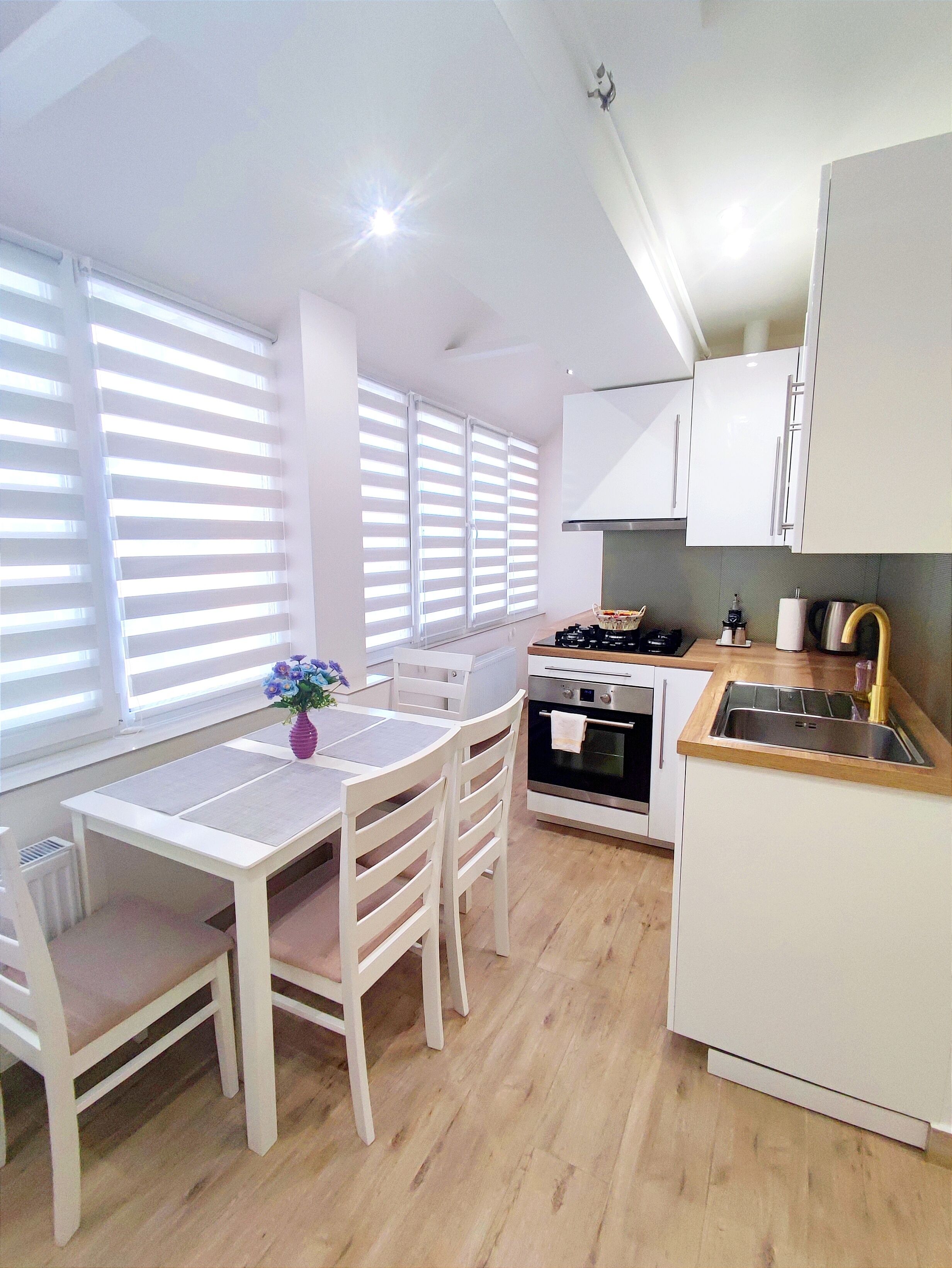 Apartamento standard, 1 cama Queen e sofá-cama, cozinha | Cozinha privada | Geladeira grande, fogão, cooktop, chaleira elétrica