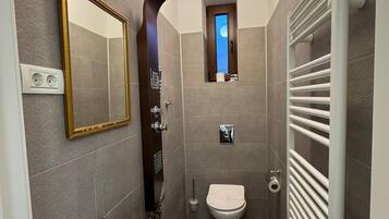 A modern bathroom with a large mirror, a sink, a toilet, and a shower.
