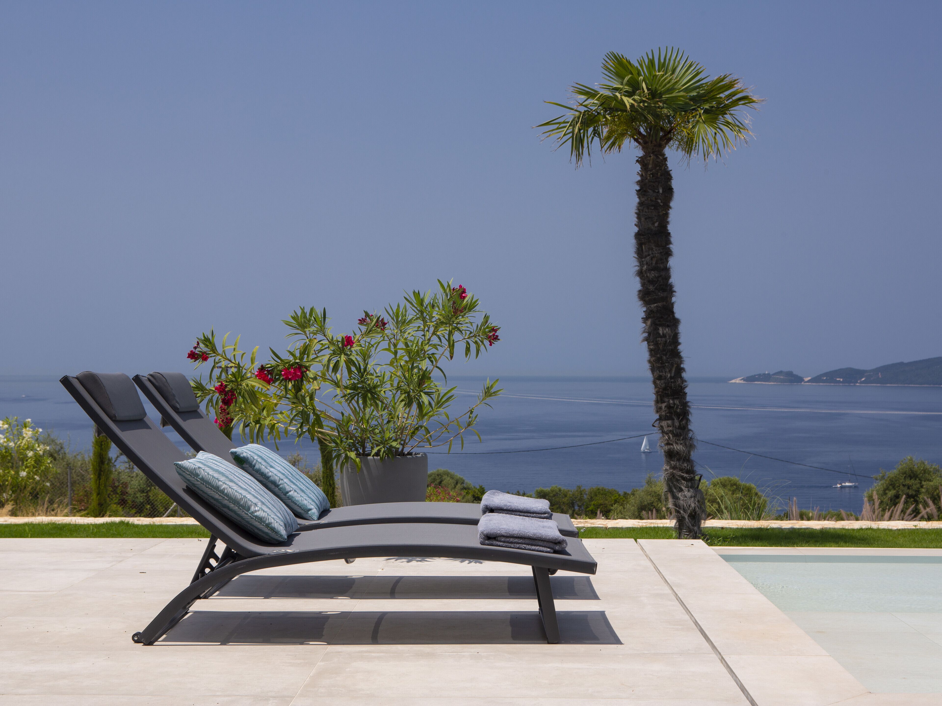 Un espace de détente aménagé au bord de la piscine, avec deux chaises longues, un pot de fleurs orné de fleurs rouges et un grand palmier.