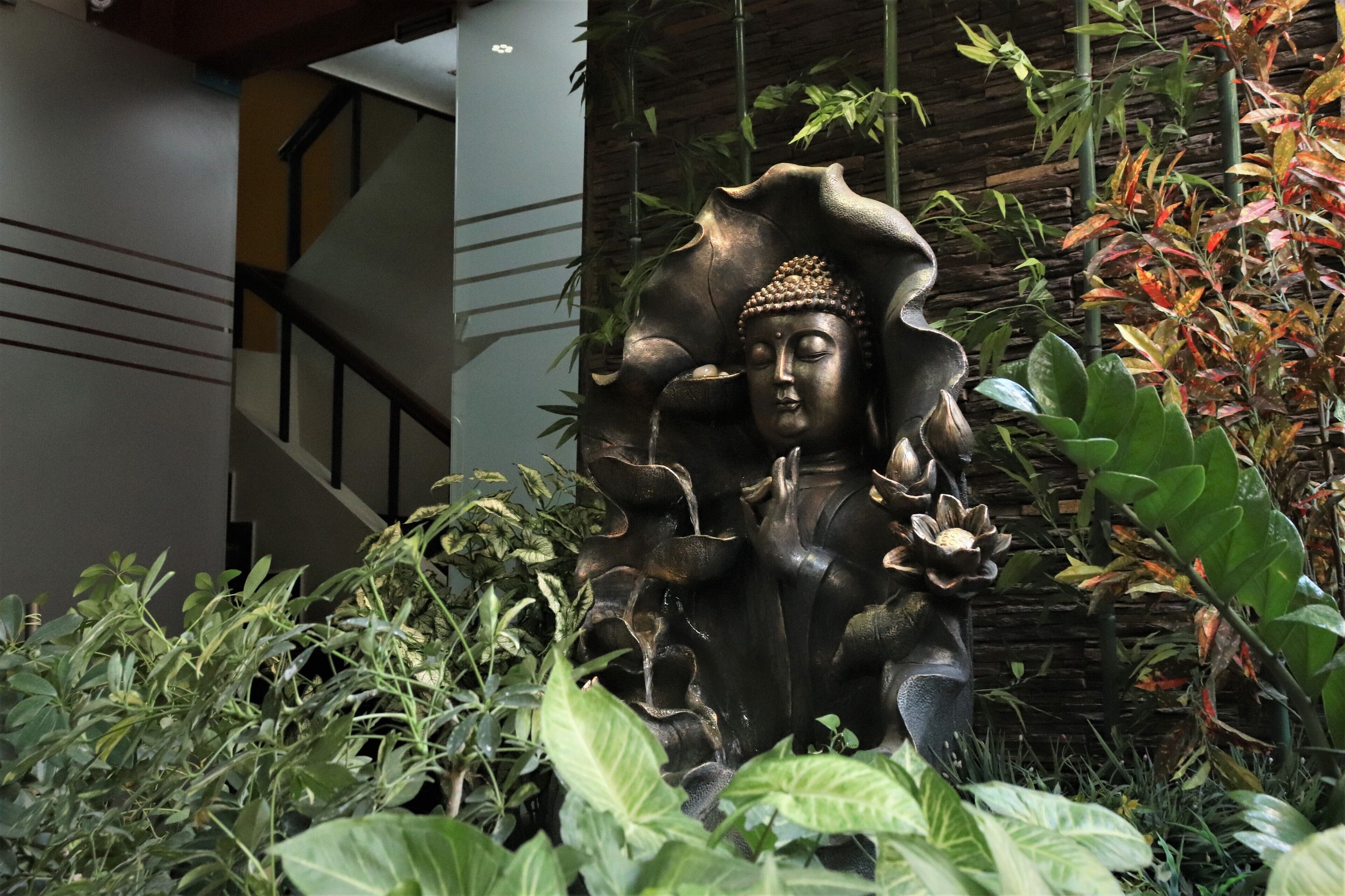 A Buddha statue surrounded by lush greenery in an indoor setting.
