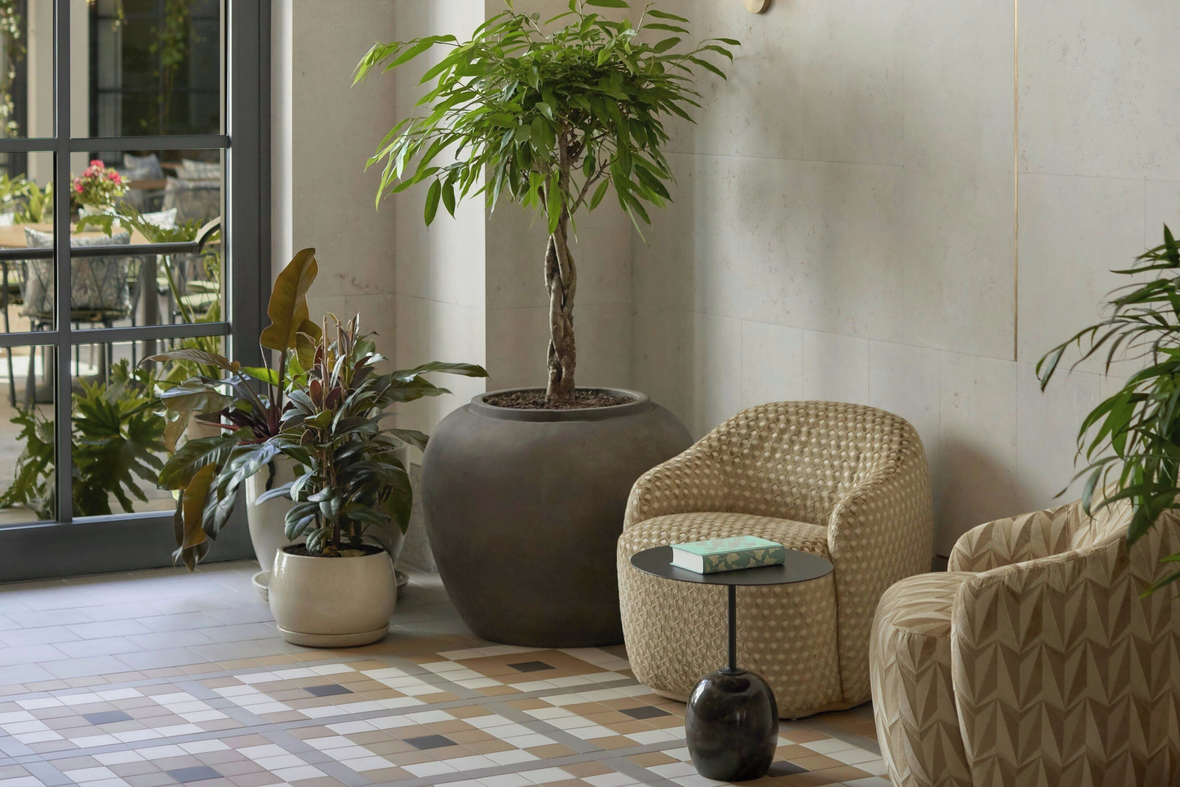 Un área de estar moderna con un gran árbol en maceta, un sillón texturizado y una pequeña mesa con un libro.