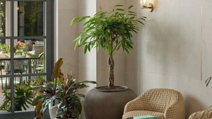 Un interior moderno con un ventanal grande, una lámpara colgante, una planta en maceta, una mesa redonda y un sillón estampado.