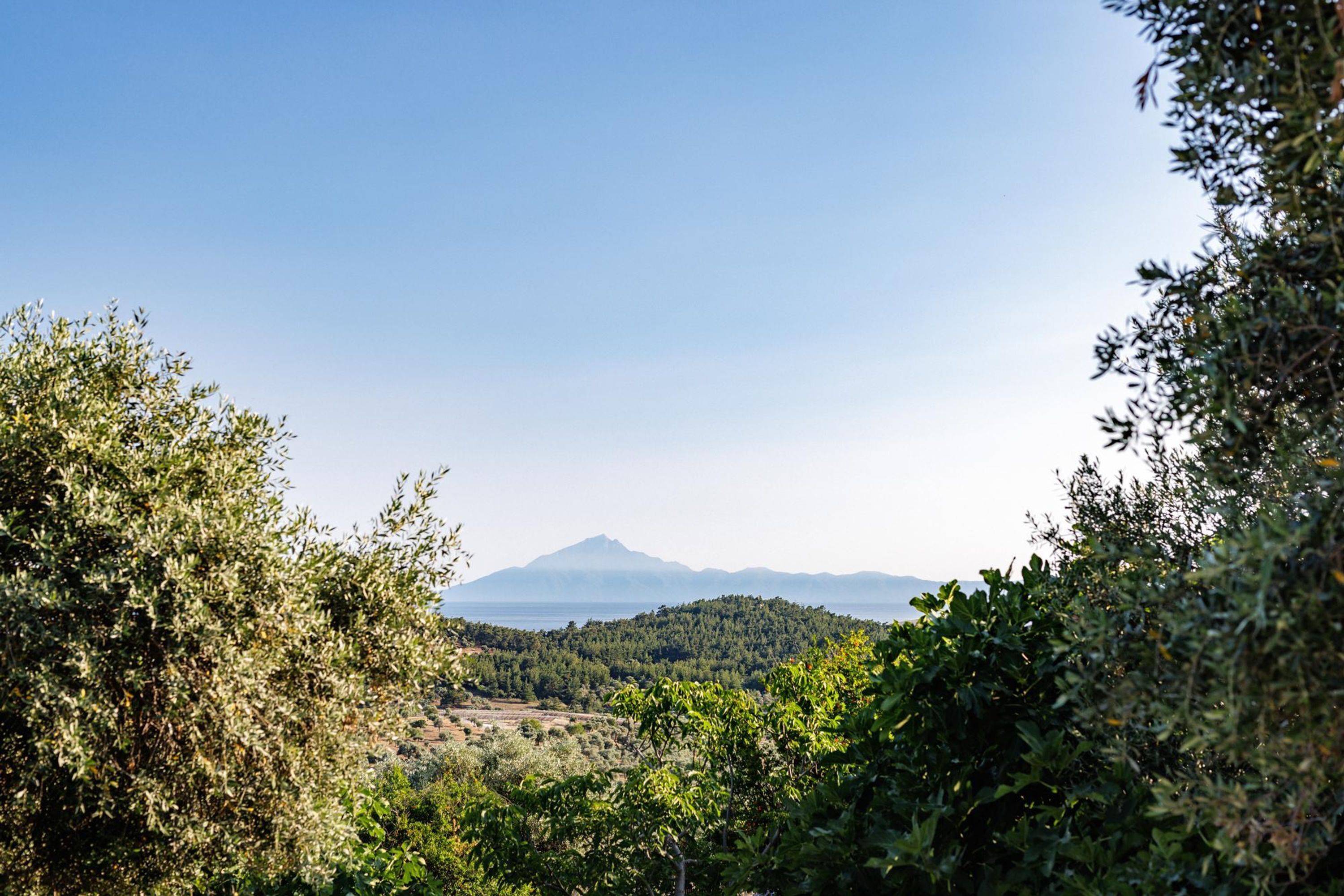 A mountainous landscape with dense forest and a clear sky.