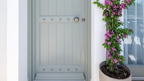 A light grey door with a decorative panel and a large potted plant with purple flowers beside it. - Premium Apartment (Thasos)