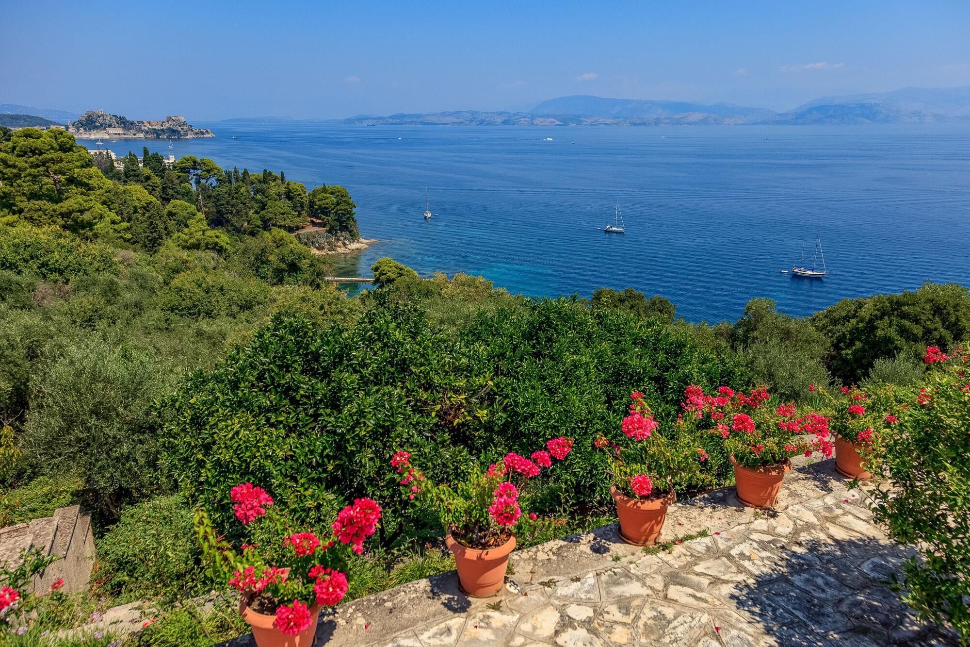 Blick auf die Küste mit Kübeln voller roter Blüten, einem Steinweg und Booten auf dem Meer.