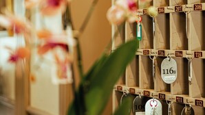 A wall of numbered storage boxes, likely for guest belongings, with a potted orchid plant in the foreground. - ALBERGO RISTORANTE BELSITO FIUGGI Nhost (Fiuggi)