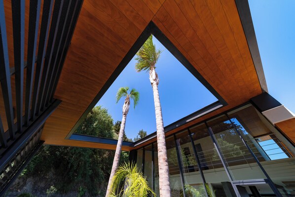Un bâtiment moderne doté d’une grande fenêtre en verre et de deux palmiers.