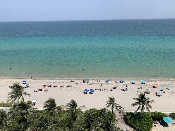 On the beach - Lovely two-bedroom condo right on the beach (Hollywood)