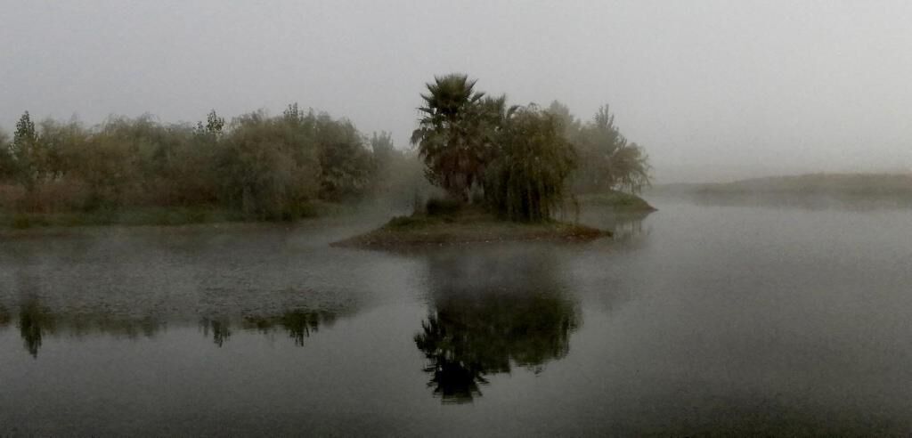 A foggy landscape with a small island and dense vegetation.