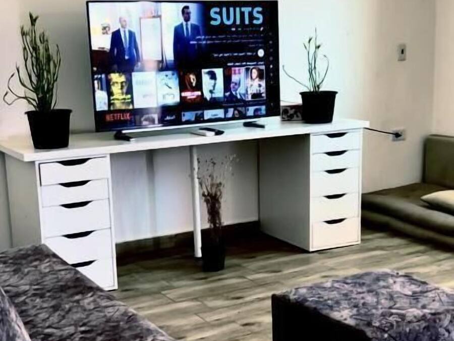 Un salon avec un téléviseur à écran plat fixé à un bureau blanc, deux plantes en pot, un canapé gris à motifs et un fauteuil gris.