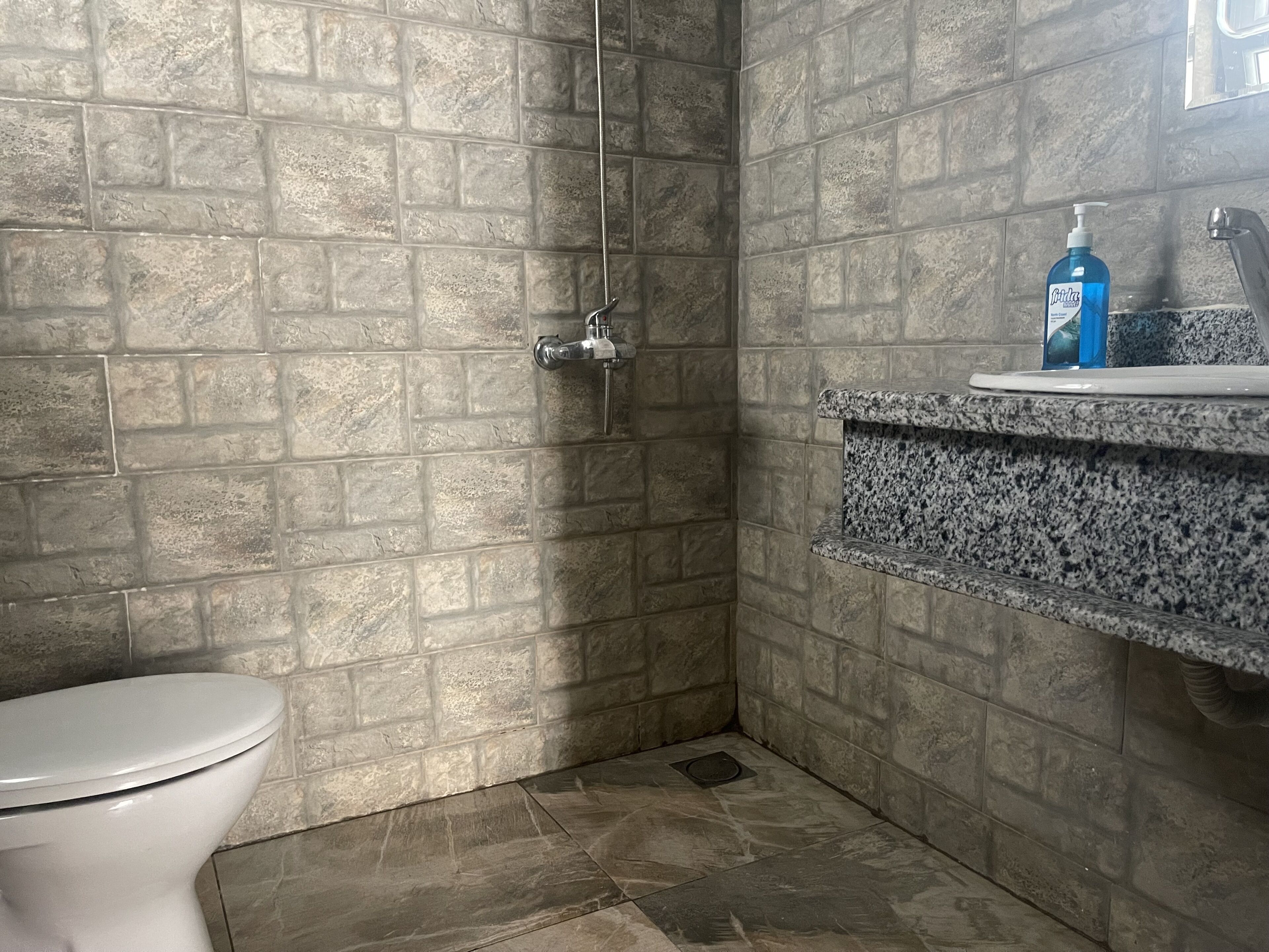 Un bagno con toilette, doccia e piano di lavoro in granito con dispenser per sapone.