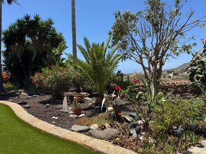A garden with various plants, a cactus, and a pathway. - Romantic vacation home on an idyllic, quiet finca (Granadilla)