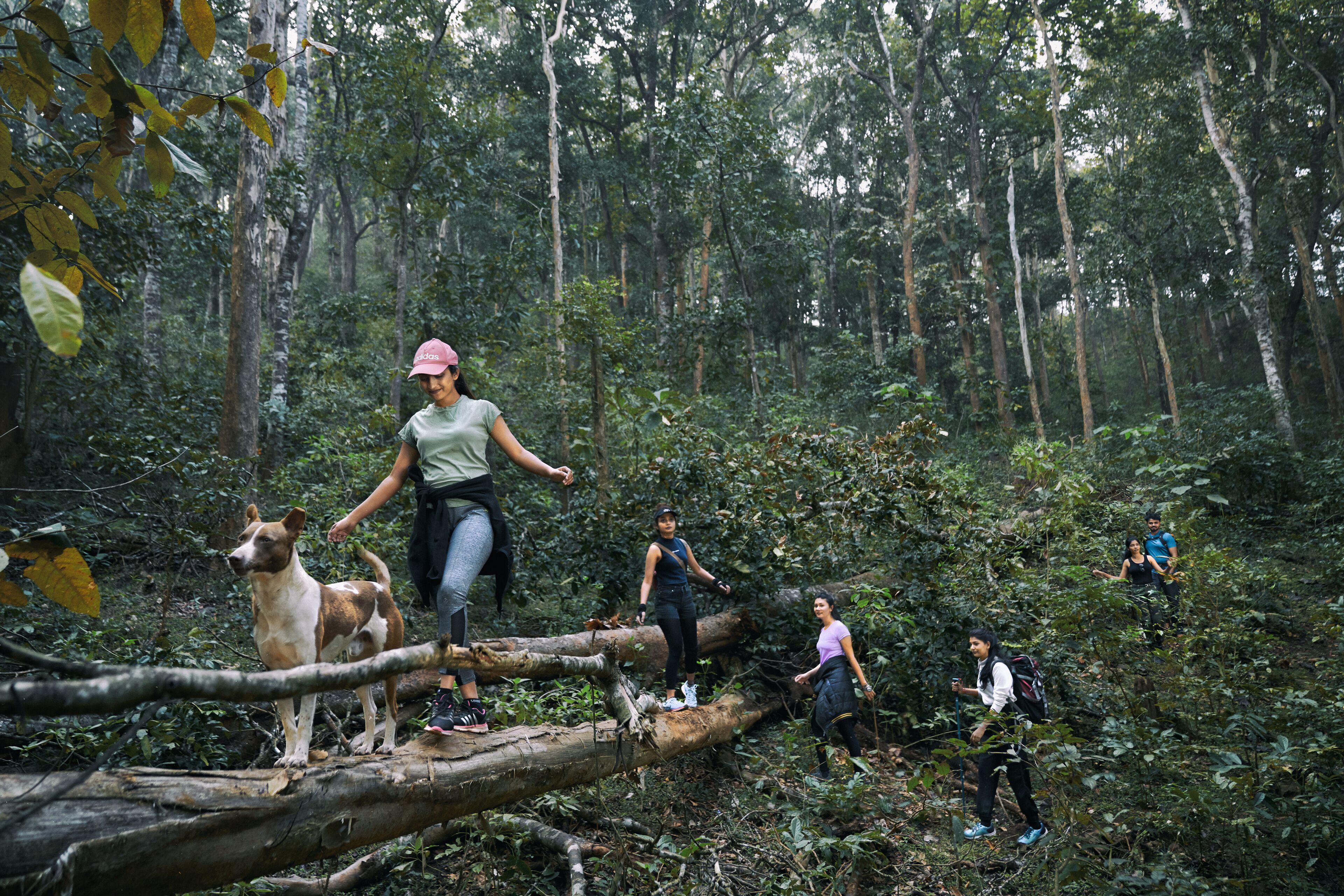 A group of people hiking in a dense forest with a dog.