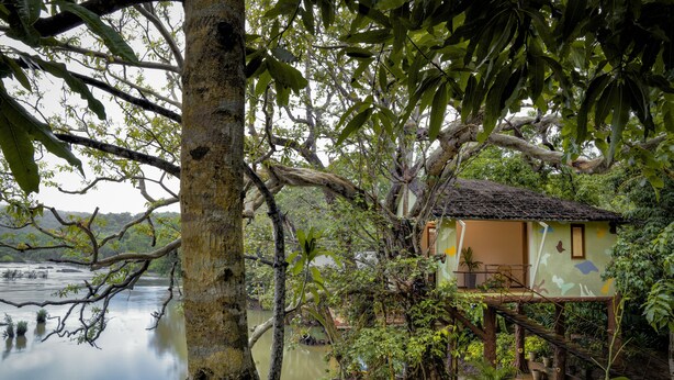 Una casa en árbol con techo de paja, rodeada de exuberante vegetación y un río tranquilo.