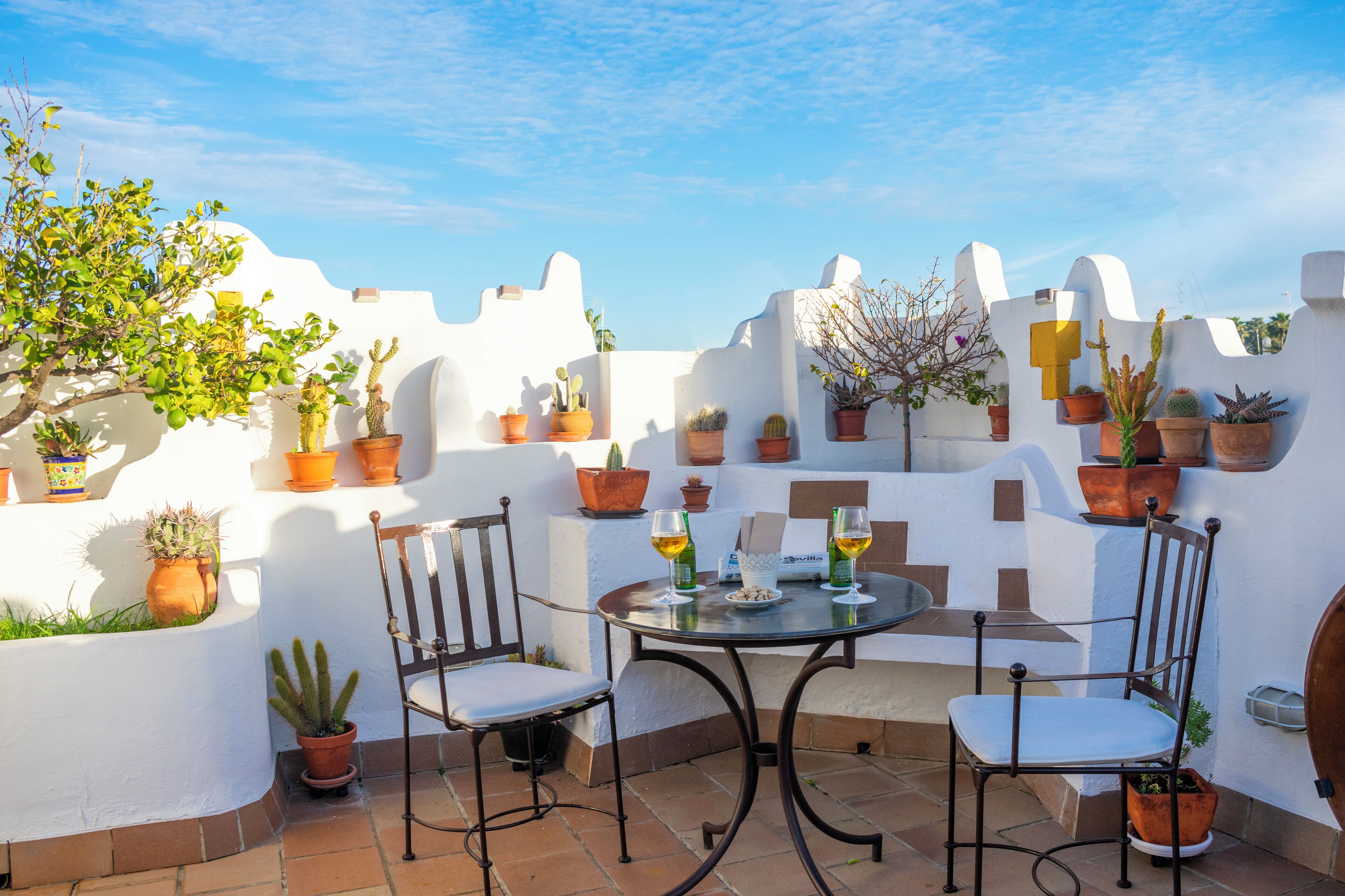 Foto - Hotel Veracruz