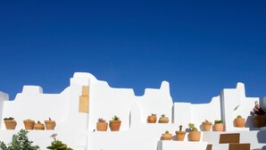 A white building with terracotta pots containing various plants. - Hotel Veracruz (Utrera)